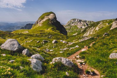 Karadağ 'ın Durmitor Ulusal Parkı' ndaki yemyeşil yemyeşil çayırlarda dağ yürüyüşü. Tepe yamacı yürüyüş güzergahı olan dağlık bir yaz manzarası. Avrupa 'da yürüyüş yerleri.