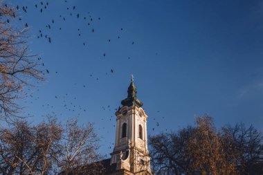 Sırbistan 'ın Kikinda kentindeki Aziz Peder Nikolai Ortodoks Kilisesi. Sırp tapınağı üzerinde barok tarzında uçan kuş sürüsü, Voyvodina 'daki popüler mimari yapı ve dini tarihi mekan.