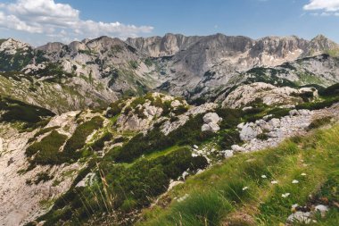 Durmitor Ulusal Parkı 'nda yaz dağı manzarası. Güneşli bir günde Dinaric Alplerinde dağ sıraları ve yürüyüş yolları olan Alp Vadisi. Balkan yürüyüşü macerası ve Karadağ 'ın popüler seyahat beldesi.