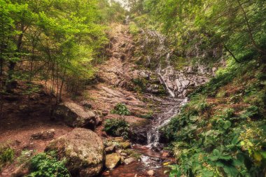 Etrafı ağaçlarla çevrili kayalardan düşen hac şelalesi. Stara Planina Ulusal Parkı 'ndaki dağ ormanlarında çağlayan şelaleler gizli. Sırbistan 'da turistlerin doğal cazibesi.