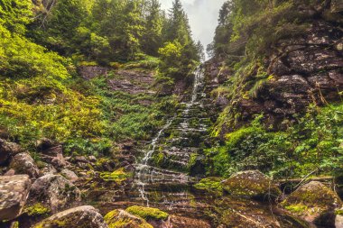 Tri Kladenca şelalesi Arbinje Doğa Rezervi 'nde kayalardan aşağı dökülüyor. Arbinje şelaleleri, Stara Planina Ulusal Parkı 'ndaki yemyeşil dağ ormanlarında gizlidir. Sırbistan 'da turistik cazibe.