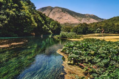 Mavi Gözlü tatlı su pınarından akan temiz nehir yemyeşil ve dağ manzarası ile çevrilidir. Arnavutluk 'ta Suriye yakınlarındaki yaz manzarası, doğal cazibe ve turistik dönüm noktası.