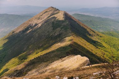 Suva Planina veya Kuru Dağ 'ın bulunduğu yaz manzarası etkileyici bir Carpatho-Balkan dağ şeridi sıradağları. Sırbistan 'da popüler yürüyüş beldesi Trem' den Sokolov kamen zirvesi manzarası.