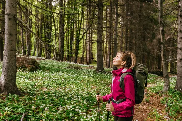 Turist sırt çantalı bir kadın yürüyüşçü ve yürüyüş direkleri ormanda yaya yolunda yürüyor. Bahar mevsiminde ormanlık alanda taze hava soluyan vahşi sarımsak soluyan dişi. Etkin sağlıklı yaşam tarzı konsepti.