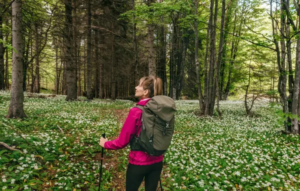 Turist sırt çantalı kadın yürüyüşçü ve orman açıklarında yürüyüş yapan sırıklara sarımsak çiçekleri doldurulmuş. Bahar mevsiminde ormanlık alanda doğanın tadını çıkaran bir kadın. Etkin sağlıklı yaşam tarzı konsepti.