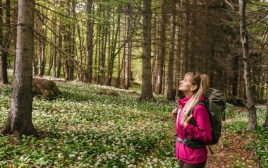 Turist sırt çantalı bir kadın ormanda yaya olarak yürüyor. Dişi, bahar mevsiminde çiçek açan yabani sarımsak ormanında derin bir nefes alıyor. Aktif sağlıklı yaşam tarzı, doğadaki dijital detoks.