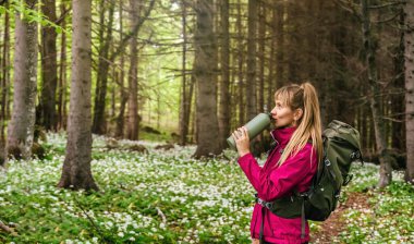 Turist sırt çantalı, içme suyu içen, yürüyüşe ara vermiş bir kadın yolcu. Ormanın arka planında vahşi çiçeklerle dinlenirken kadın ferahlatıcı bir içecek alır. Etkin yaşam tarzı kavramı.