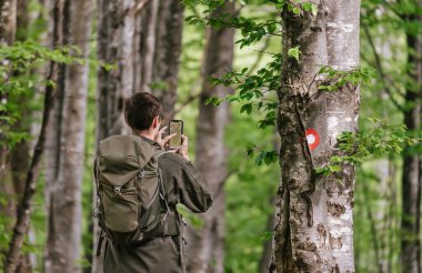 Turist sırt çantalı bir adam orman patikasında ya da patikada dururken telefonuyla güzergahını kontrol ediyor. Erkek gezgin akıllı telefonda yürüyüş uygulaması ya da harita uygulaması kullanıyor, yürüyüş işaretleyicisi ağaçta boyalı.