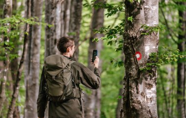 Turist sırt çantalı aktif bir adam orman yolunda ya da patikada dururken telefonuyla fotoğraf çekiyor. Gezgin elinde akıllı telefon ile ağaç gövdesine çizilmiş yürüyüş işaretlerini yakalıyor..
