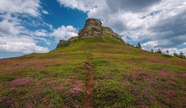 Yürüyen patika çimenlerin arasında dolanıyor, çiçek bulutlu gökyüzünün altında kayalık zirveye doğru yamaçla doluyor. Tri Cuke 'un yaz manzarası kayalık çıkıntılar ve Balkan Dağları' nın yemyeşil yamaçlarıyla dolu..