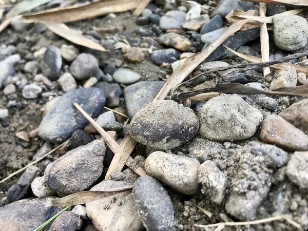 Close up of the stone and sand in the river 