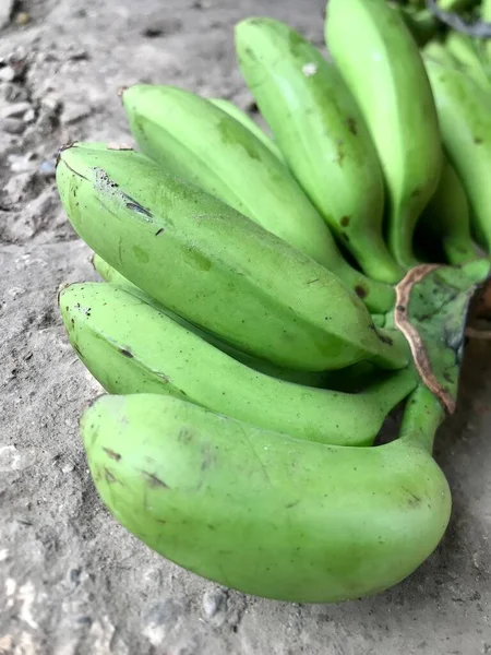 banana, bananas, fruits, food, healthy, organic, farming, agriculture, tropical, green