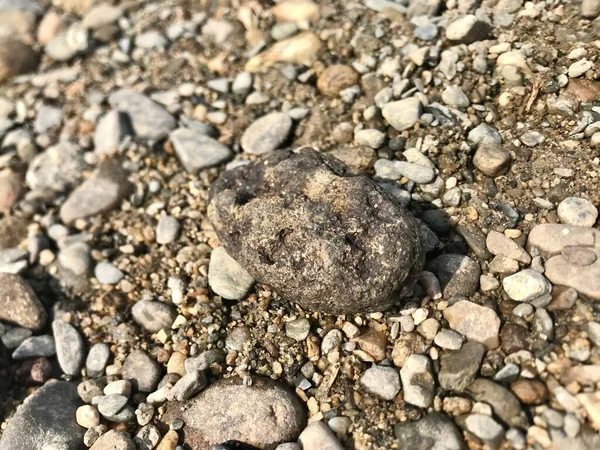 close up of a pile of stones on the beach