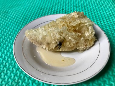 Tabağında arı kovanı olan bir bal