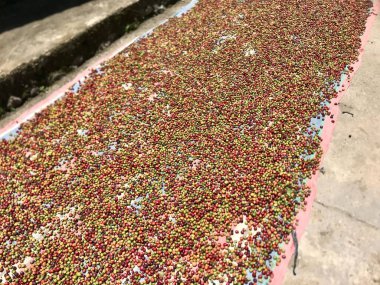 Kahve çekirdeği yığınını kapat.