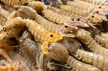 fresh mantis shrimp on the table in the fish market