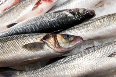 fresh fish laid out on the table with ice on fish market