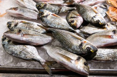 fresh fish laid out on the table with ice on fish market