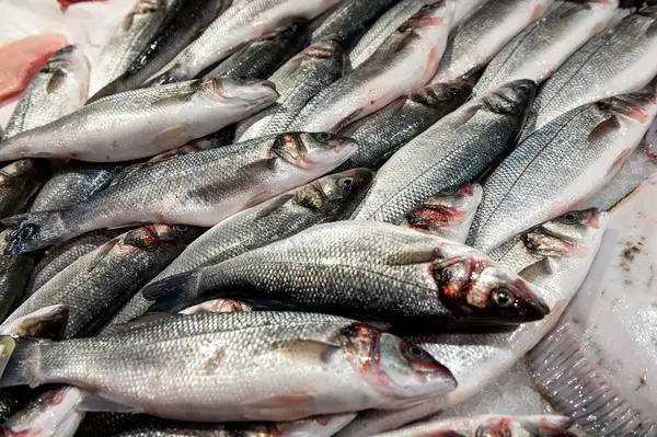 fresh fish laid out on the table with ice on fish market