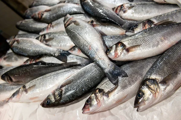 fresh fish laid out on the table with ice on fish market