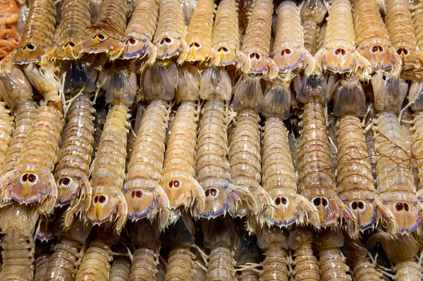 fresh mantis shrimp on the table in the fish market