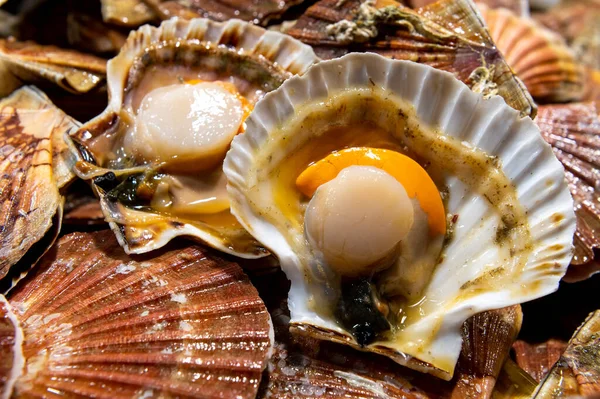 Scallops mussels St. Jacob laid out on the table with ice on fish market