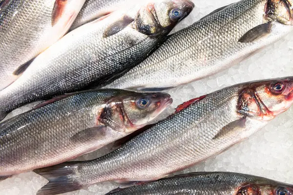 fresh fish laid out on the table with ice on fish market