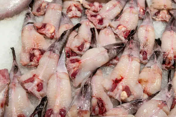 fresh sea food laid out on the table with ice on fish market