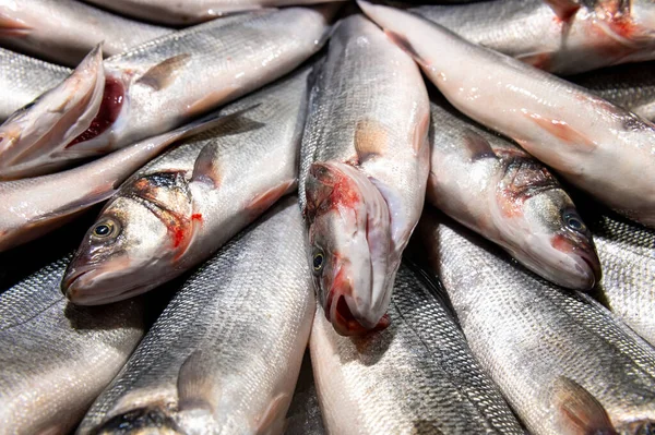 fresh fish laid out on the table with ice on fish market