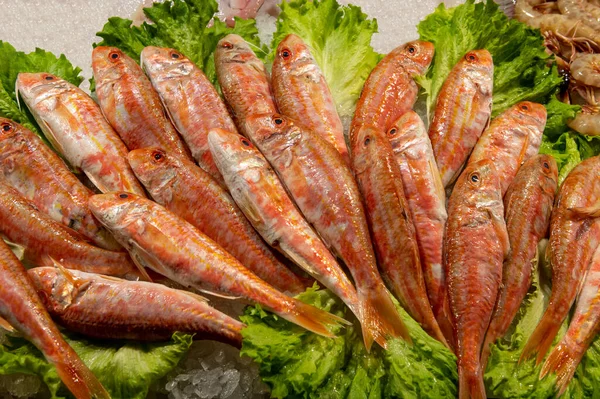 fresh mullets laid out on the table with ice and salad on fish market