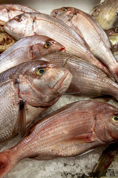 fresh fish laid out on the table with ice on fish market
