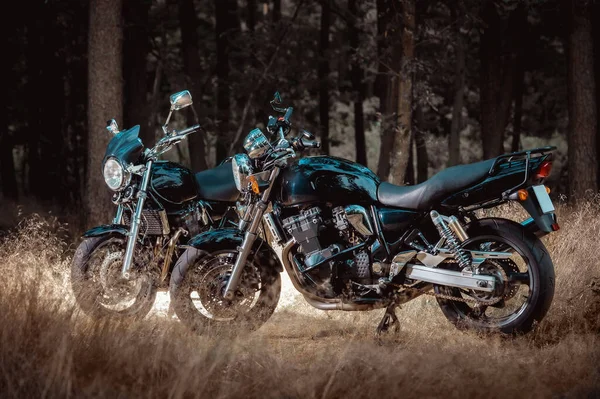 two cruiser motorbikes in the forest, retro colors