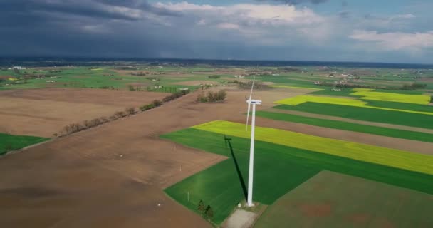 Drohnenaufnahmen Einer Funktionierenden Windkraftanlage Vor Dem Hintergrund Von Frühlingsfeldern Und — Stockvideo