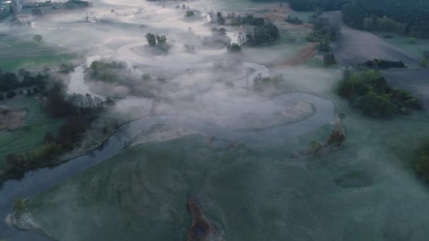 黎明时分笼罩着野生的天然河流 波兰的Drweca无人机拍摄 沿着弯道飞行 淡淡的色泽 — 图库视频影像