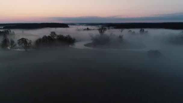 Niebla Sobre Río Natural Salvaje Amanecer Sesión Drones Drweca Polonia — Vídeos de Stock