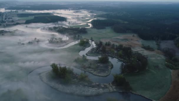 Nebel Über Dem Wilden Natürlichen Fluss Morgengrauen Drohnenabschuss Von Drweca — Stockvideo