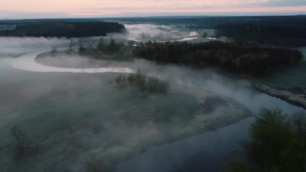 夜明けには 野生の自然川の上に霧 ポーランドのドリュエカのドローン撮影 平均に沿って飛行 淡いパステルカラー — ストック動画