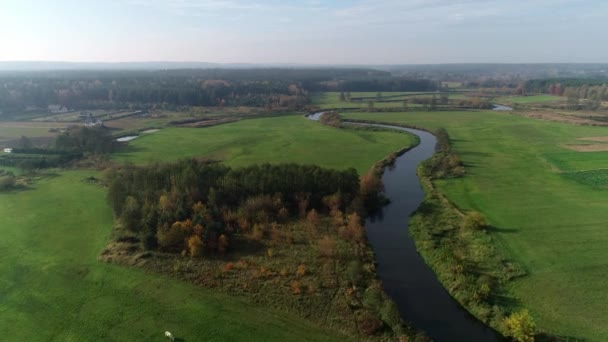 Letecký Pohled Divokou Přírodní Řeku Úsvitu Drone Střílet Drweca Polsku — Stock video