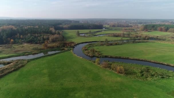 Vista Aérea Del Río Natural Salvaje Amanecer Drone Disparar Drweca — Vídeos de Stock