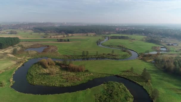Vista Aérea Rio Natural Selvagem Amanhecer Drone Tiro Drweca Polônia — Vídeo de Stock