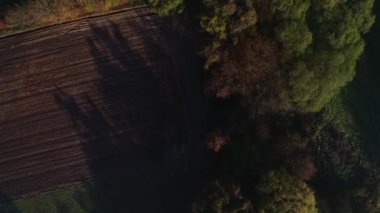 Polonya 'daki ağaçların ve tarlaların üzerinde sabah dronu vuruldu.