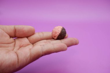 Mor arka planda izole edilmiş çikolata topu atıştırmalığı. Yarı kahverengi, yarı pembe çikolata topu. Çikolatayı futbol topu gibi tutan el..