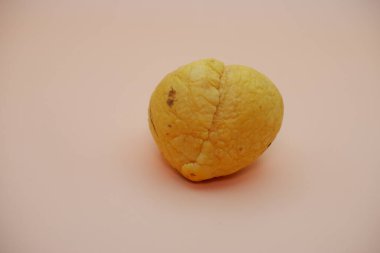 Açık Turuncu Renkli Pürüzsüz Avokado Tohumu