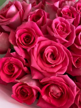 a bunch of pink roses with a beautiful pattern on a gray background