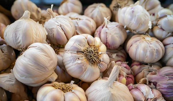 stock image lot of Indian Garlic in local market. selective focus and focus image.