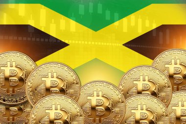 Önünde bir sürü Bitcoin ve duvarında Jamaika bayrağı var. illüstrasyon poster tasarımı