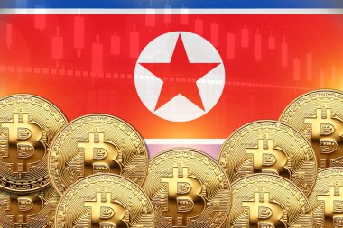 Önünde bir sürü Bitcoin, duvarında da Kuzey Kore bayrağı var. illüstrasyon poster tasarımı