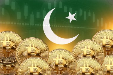 Önünde bir sürü Bitcoin ve duvarında Pakistan bayrağı var. illüstrasyon poster tasarımı