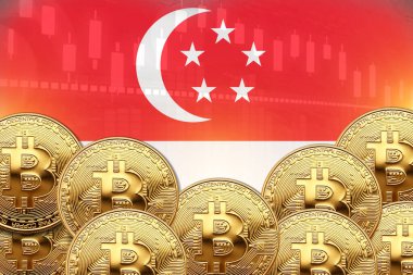 Önünde bir sürü Bitcoin ve duvarında Singapur bayrağı var. illüstrasyon poster tasarımı.