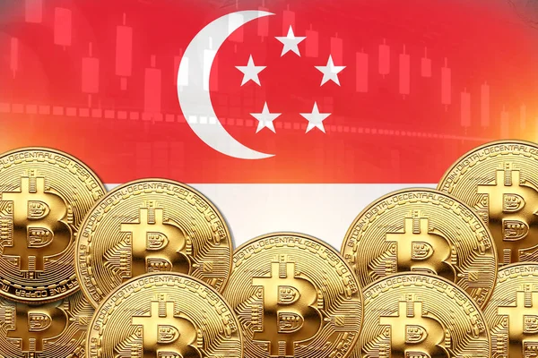 Önünde bir sürü Bitcoin ve duvarında Singapur bayrağı var. illüstrasyon poster tasarımı.